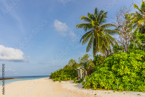 Fototapeta Naklejka Na Ścianę i Meble -  Palm trees  on a tropical island  in the Maldives