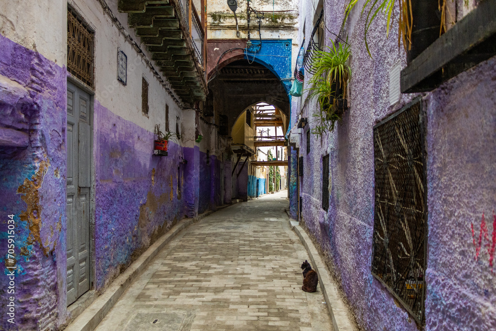 Historical tiny street with indigo blue houses in the old Medina, Jewish quarter in Fez.