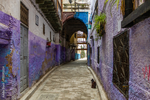 Historical tiny street with indigo blue houses in the old Medina, Jewish quarter in Fez. © Michael
