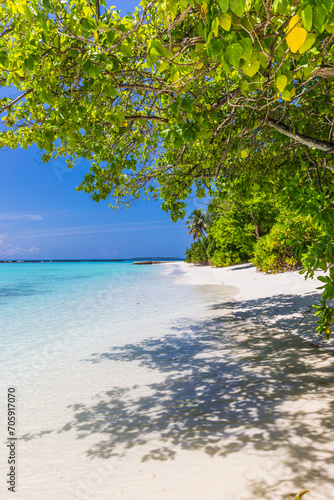 Fototapeta Naklejka Na Ścianę i Meble -  Azure water in the lagoon of the tropical island in the Maldives