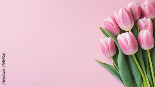 pink tulips on pink background place for text