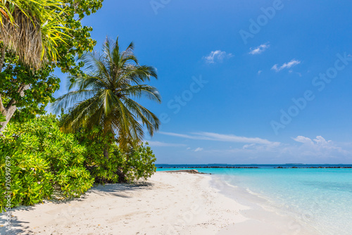 Palm trees on a tropical island in the Maldives