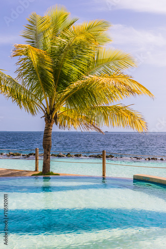 Palm trees  on a tropical island  in the Maldives