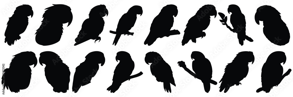 Obraz premium Parrot tropic silhouettes set, large pack of vector silhouette design, isolated white background