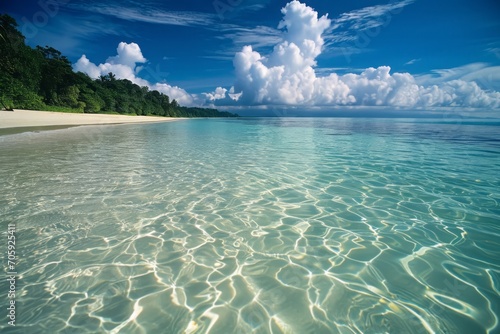 Crystal-clear waters of a beach in Andamans Islands photo