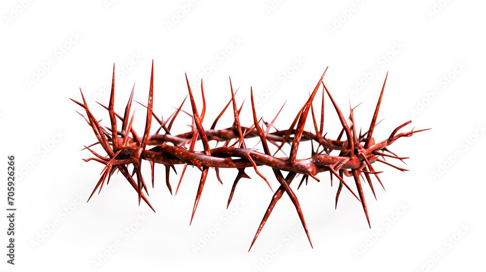 Naklejka premium Christian Context of Holy Week. White background. The crown of thorns of Jesus of Nazareth. Easter. Selective focus 