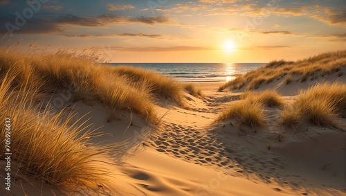 Beautiful landscape with dunes in golden sunset light. 