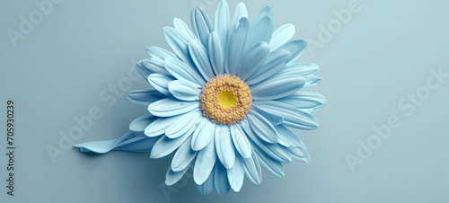 Vibrant Daisy in Full Bloom Against a Sky Blue Backdrop created with Generative AI technology