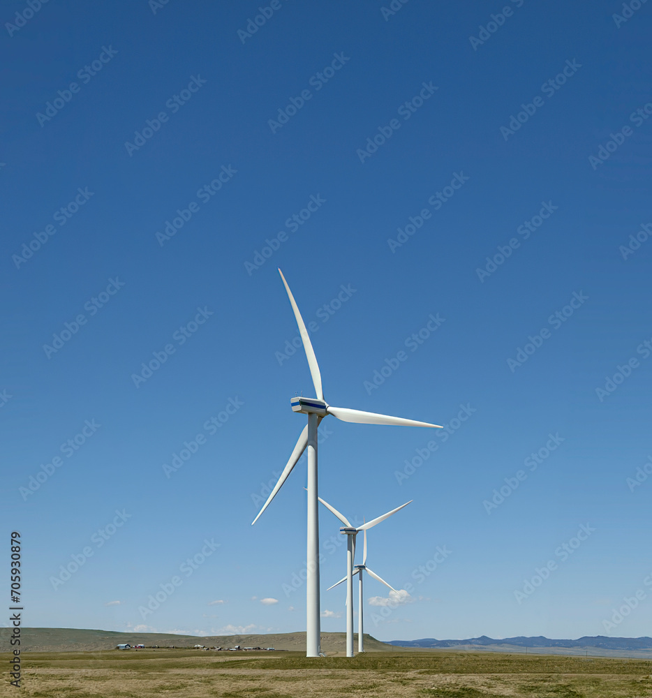 several wind turbines standing in the grass with blue skies in the background