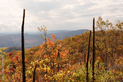 autumn landscape in the mountains