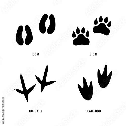 Set of animal footprints. Black silhouettes of paws animal feet or footprints. Collection contains four animals cow, lion, chicken and flamingo. Minimal vector illustration isolated on white backgroun