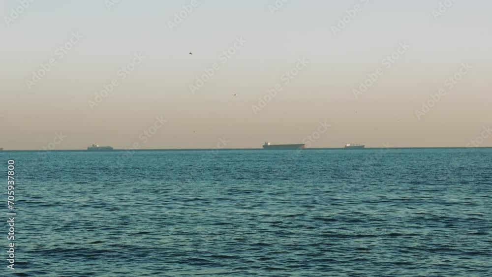 Seagulls at sunset over sea, silhouettes against ships in roadstead. Seagulls floating, backdrop of anchored ships at dusk. Seagulls over sea, sunset view with ships anchored in roadstead Seagulls at sunset over sea, silhouettes against ships in roadstead. Seagulls floating, backdrop of anchored ships at dusk. Seagulls over sea, sunset view with ships anchored in roadstead