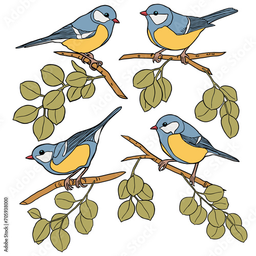 Tit birds sitting on tree branches and branches with leaves, drawn with outline and fill on separate layers. photo