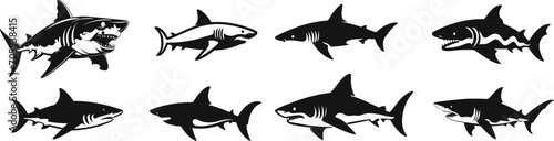 Shark silhouette  wild animal silhouettes  isolated on white background
