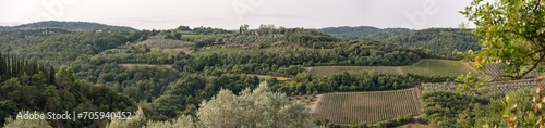 Wine fields in the Chianti region in the Tuscany