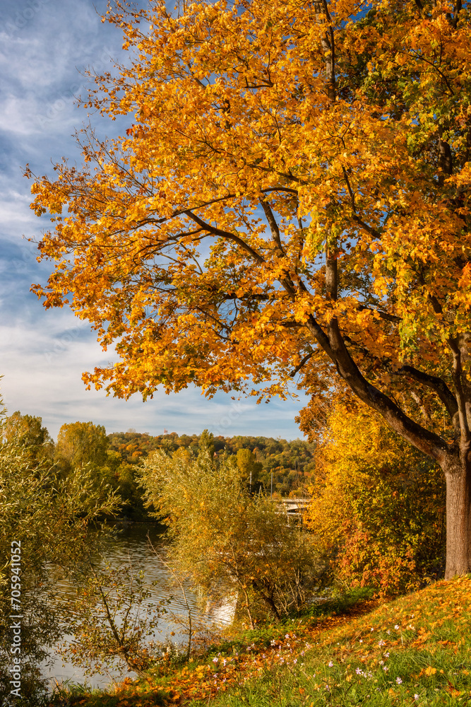 Autumn colors at a river in Germany