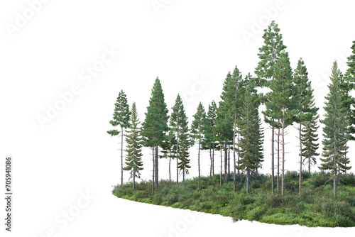 Pine forest and meadow on transparent background