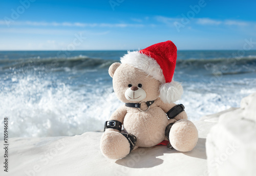 A New Year's teddy bear in a Santa Claus hat in a leather bdsm strap against the background of the sea and splashing waves on white stones. High Quality Full HD footage