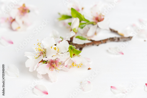 White pink almond tree flowers on a white wooden background. Jewish holiday Tu Bishvat. Top view, flat lay photo