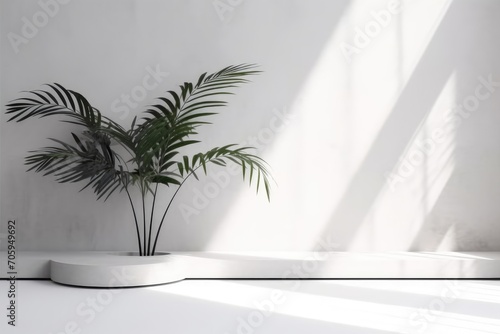 Modern minimal blank white concrete texture wall © Tor Gilje