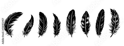 Bird Feather black silhouettes. Plumelet collection. Vector isolated on white
