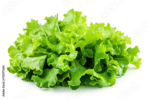  salad leaf. lettuce isolated on white background.