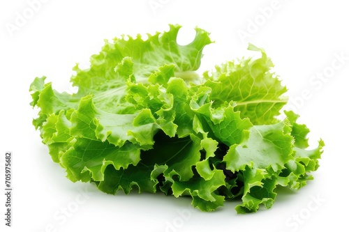  salad leaf. lettuce isolated on white background.