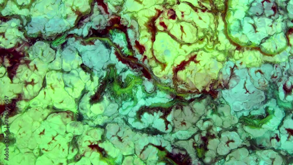 This stock video features an extreme close-up shot of a thick mixture of colored liquid paints spreading on the surface in slow motion that can be used as an organic background for visual effects. This stock video features an extreme close-up shot of a thick mixture of colored liquid paints spreading on the surface in slow motion that can be used as an organic background for visual effects.
