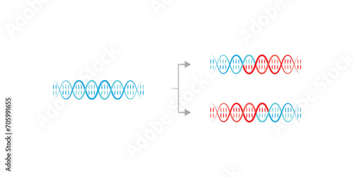 Dispersive DNA Replication Scientific Design. Vector Illustration.