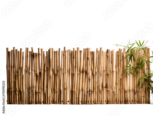 a bamboo fence with a plant