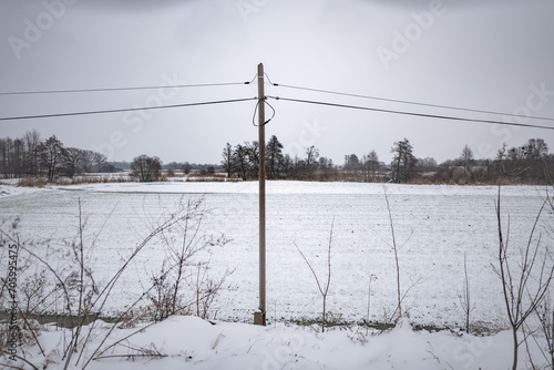 Ścieżka elektryczna idąca przez zaśnieżone pole porośnięte krzakami w popołudniowych godzinach pochmurnego szarego dnia w Zachodniej Polsce photo