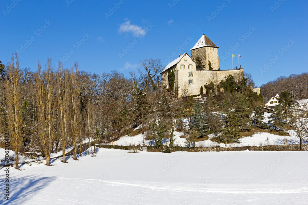 Schaffhausen, Switezrland - January 24.2021: The medieval castle Herblingen in winter Schaffhausen, Switzerland. It is a Swiss heritage site of national significance.