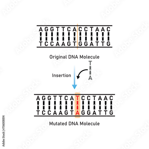 Insertion Mutation Scientific Design. Vector Illustration.