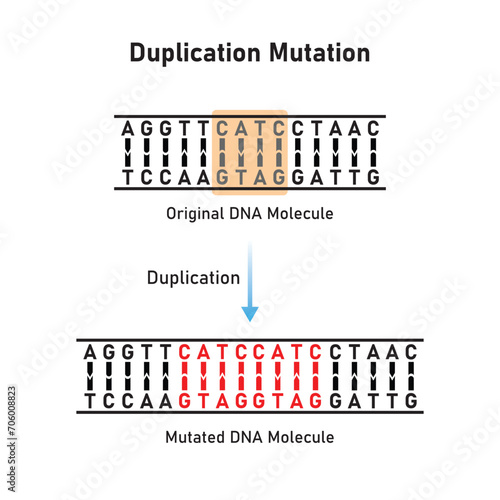 Duplication Mutation Scientific Design. Vector Illustration.
