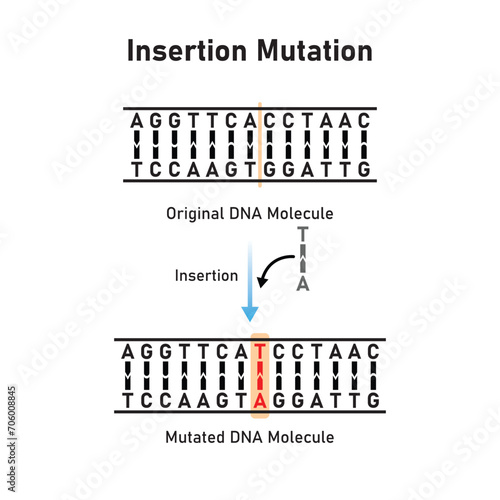 Insertion Mutation Scientific Design. Vector Illustration.