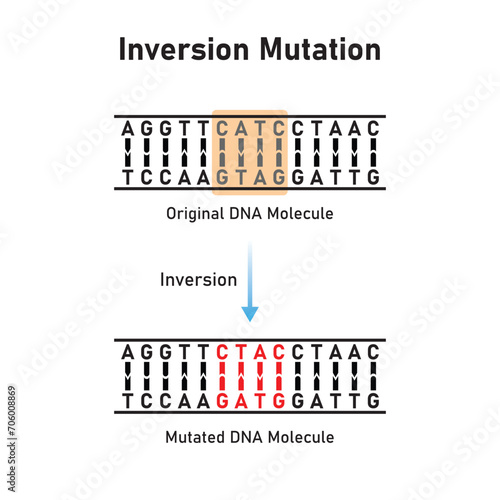 Inversion Mutation Scientific Design. Vector Illustration.
