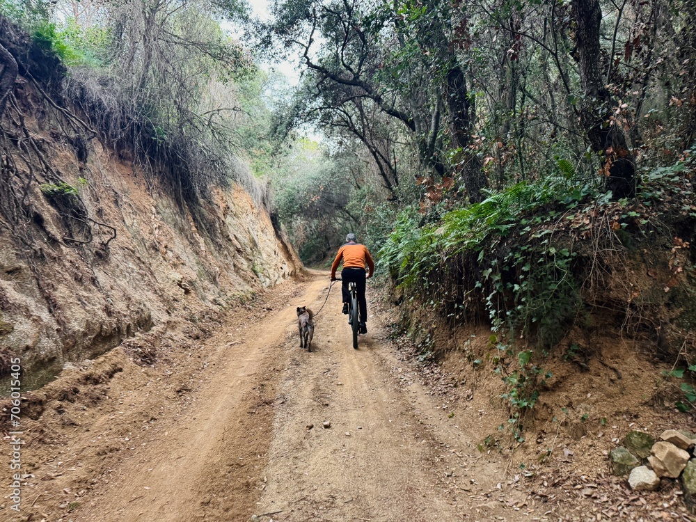 Obraz premium Dog and person riding on a dirt road in the mountains on a bike.