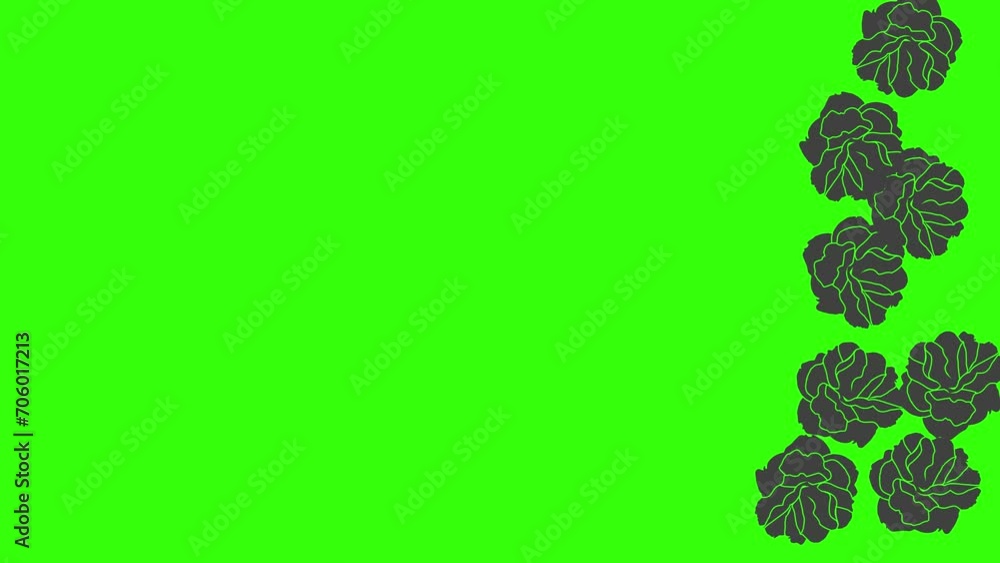 Black roses graphic animation on green screen video element Black roses graphic animation on green screen video element