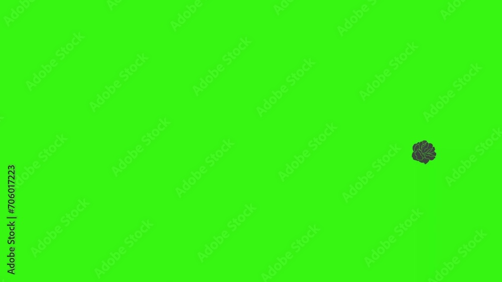 Black roses graphic animation on green screen video element Black roses graphic animation on green screen video element