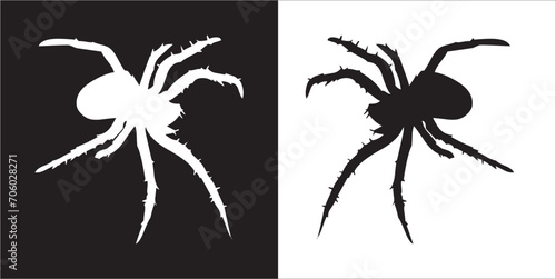 Illustration vector graphics of spider icon © Sempulur