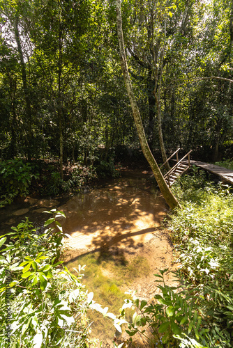 paisagem natural na cidade de Costa Rica, Estado do Mato Grosso do Sul, Brasil photo