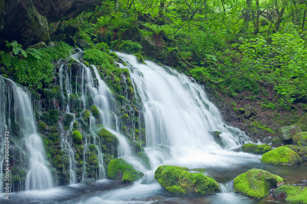 Obraz premium 緑の苔と元滝伏流水
