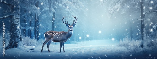 Majestic Stag Standing in a Snow-Covered Forest During a Serene Winter Morning
