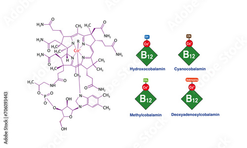 Vitamin B12 chemical forms