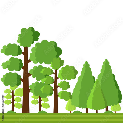 Tree Forest Vector