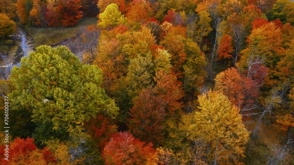 A drone flight over the forest in the middle of autumn. A drone flight over the forest in the middle of autumn.