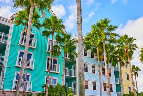 Colorful Caribbean Buildings and Palm Trees, Nassau Street View © Nicholas J. Klein
