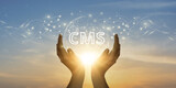 CMS - Content Management System Concept for Blog Promotion, Data Administration, and Website Optimization in the SEO Network Technology Paradigm