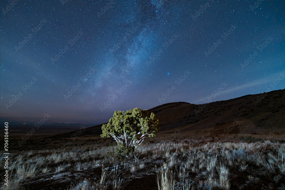 Desert tree below the glowing stars of the Milky Way