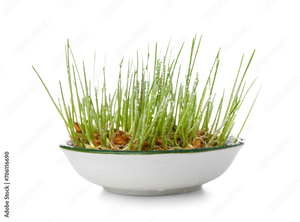 Bowl with fresh wheatgrass and water drops on white background Bowl with fresh wheatgrass and water drops on white background